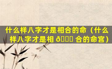 什么样八字才是相合的命（什么样八字才是相 💐 合的命宫）